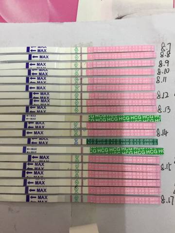 journal_insert_pic_817225794