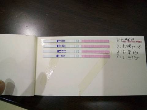 journal_insert_pic_817166309