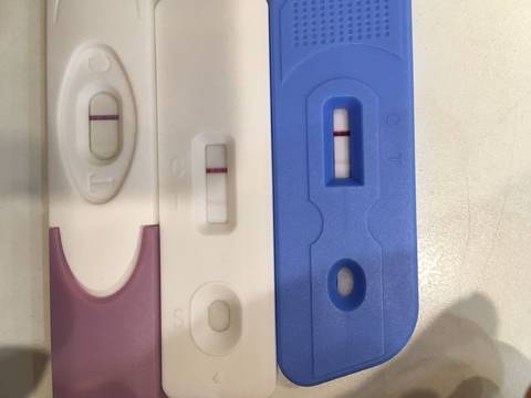 journal_insert_pic_817022876