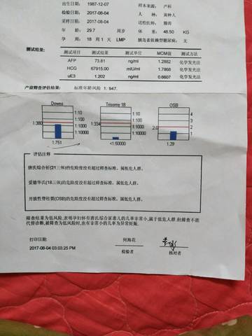 journal_insert_pic_817304362