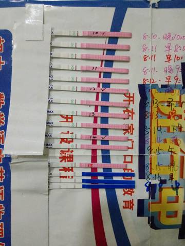 journal_insert_pic_818620509