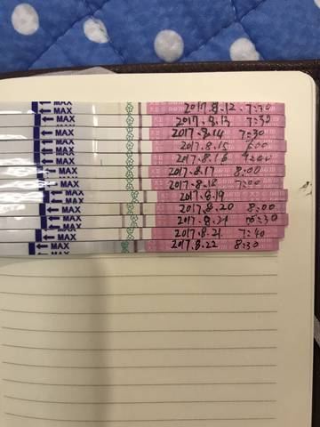 journal_insert_pic_821253529