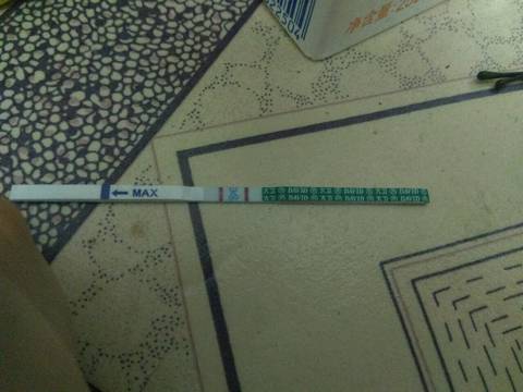 journal_insert_pic_820660393