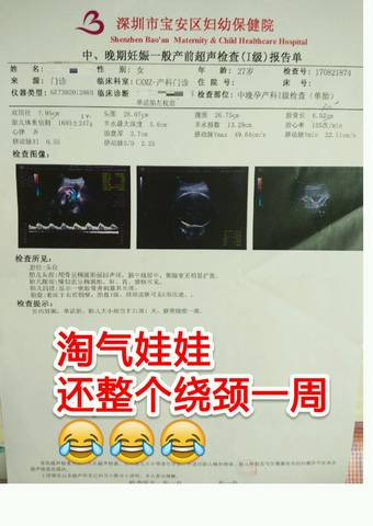 journal_insert_pic_820638847