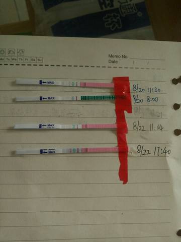 journal_insert_pic_821098629
