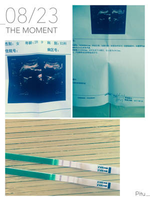 journal_insert_pic_821902699