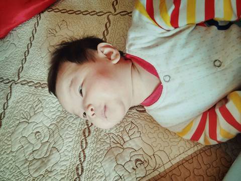 journal_insert_pic_821657519
