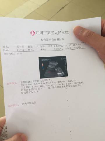 journal_insert_pic_821874511