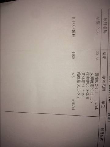 journal_insert_pic_821958322