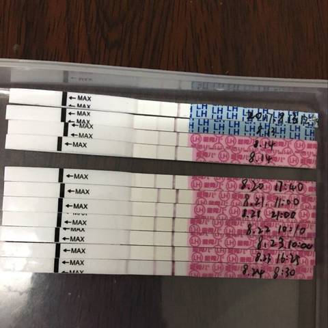 journal_insert_pic_822392552