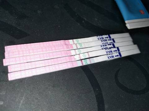 journal_insert_pic_823514307