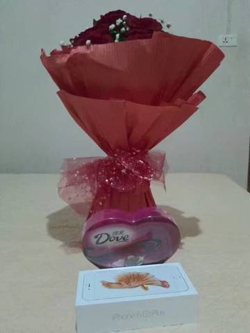 journal_insert_pic_823435776