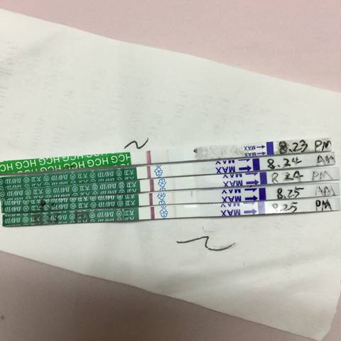 journal_insert_pic_823811904