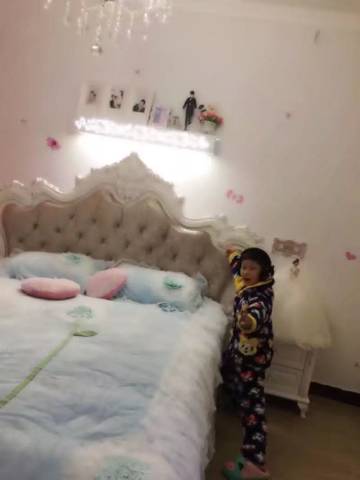 journal_insert_pic_824540654