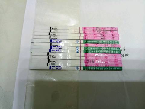journal_insert_pic_825583374