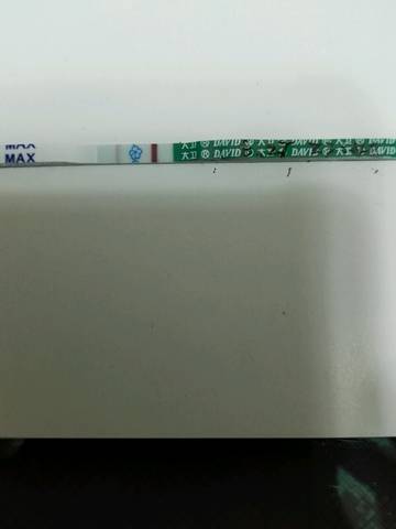journal_insert_pic_825667994