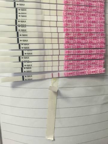 journal_insert_pic_826187830