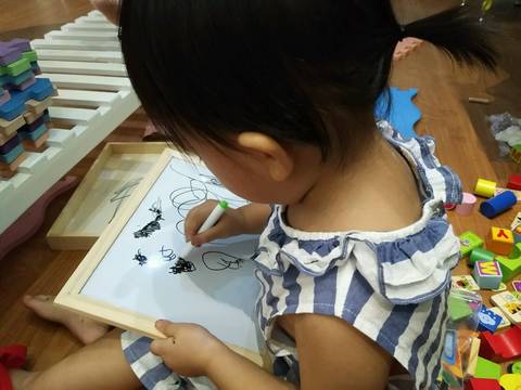 journal_insert_pic_826476606