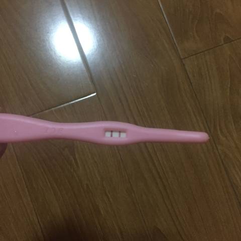 journal_insert_pic_825820312