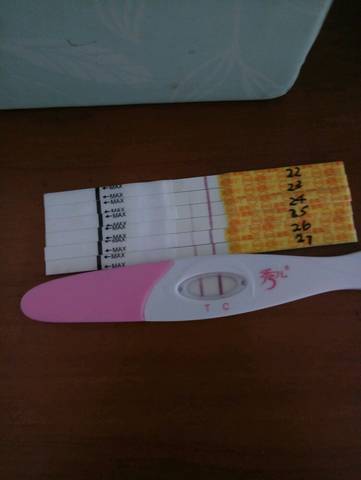 journal_insert_pic_825934794