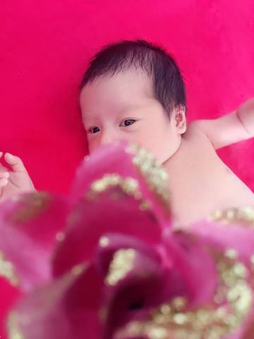 journal_insert_pic_826057972