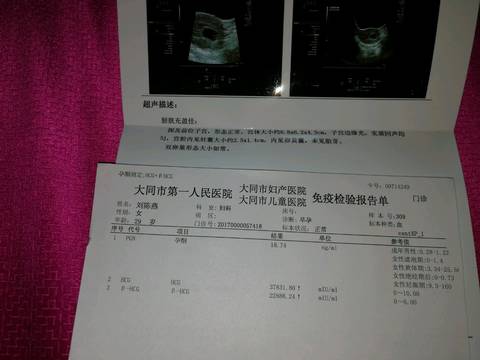 journal_insert_pic_827209120