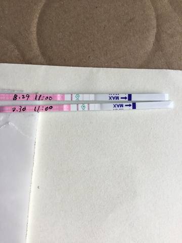 journal_insert_pic_827779910