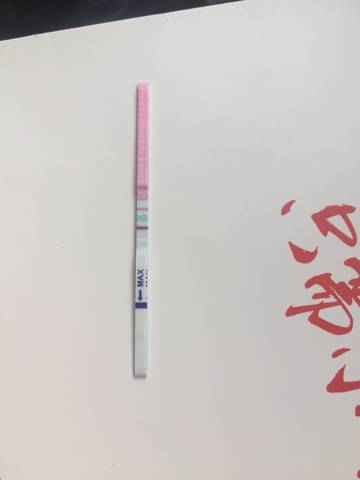 journal_insert_pic_828152572