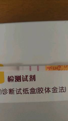 journal_insert_pic_827945746