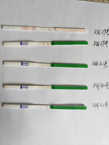 journal_insert_pic_828517363