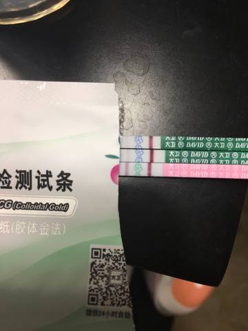 journal_insert_pic_828881082
