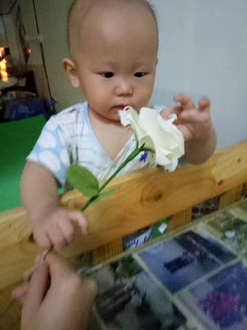 journal_insert_pic_828311863