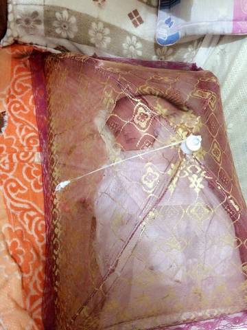 journal_insert_pic_829267292