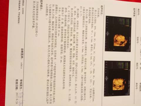 journal_insert_pic_829291410