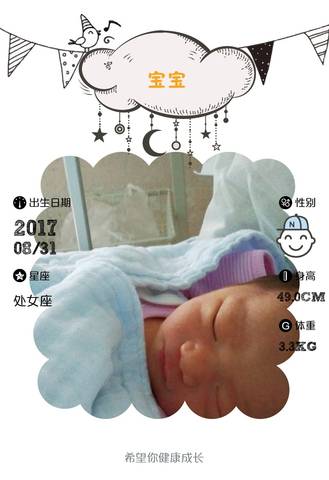 journal_insert_pic_829190616