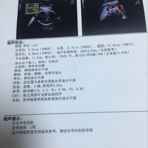 journal_insert_pic_830205217