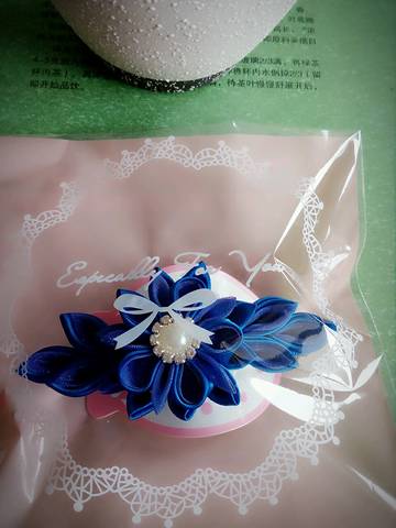 journal_insert_pic_829881070