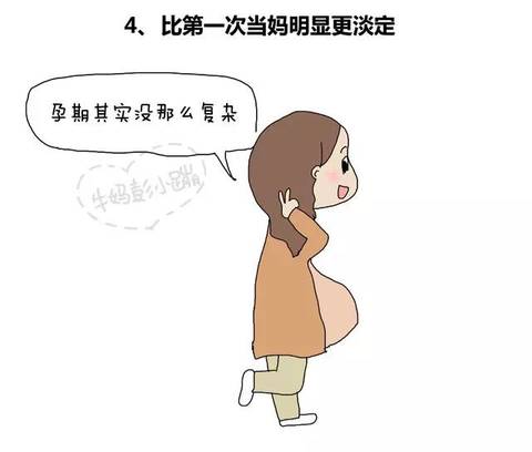 journal_insert_pic_830138313