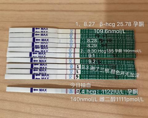 journal_insert_pic_831661750