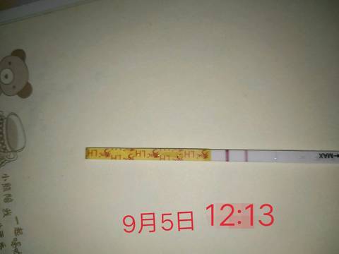 journal_insert_pic_832585679