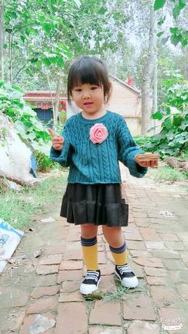 journal_insert_pic_832276336
