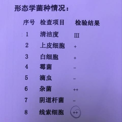 journal_insert_pic_832425200