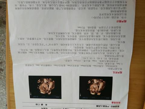 journal_insert_pic_832143483