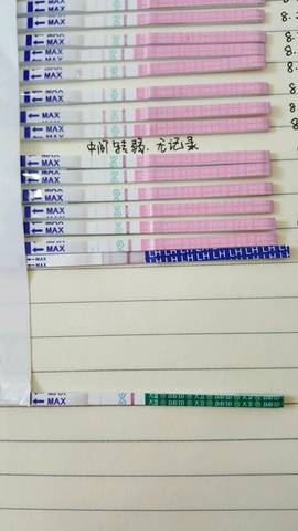 journal_insert_pic_832978658