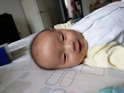 journal_insert_pic_832947327