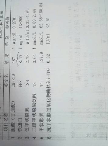 journal_insert_pic_834095132