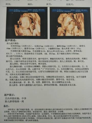 journal_insert_pic_834005274