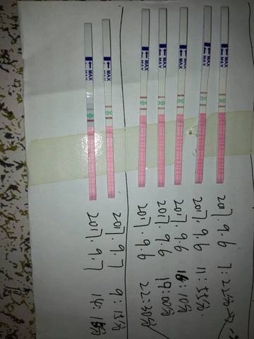 journal_insert_pic_833832420