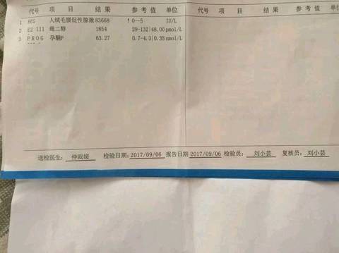 journal_insert_pic_834105156