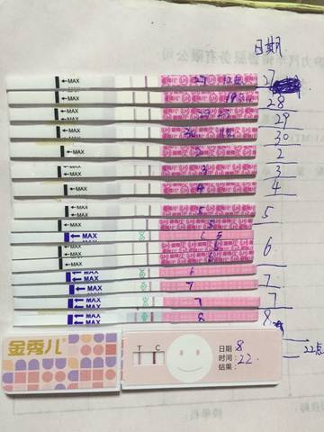 journal_insert_pic_834748802